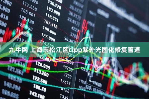 九牛网 上海市松江区cipp紫外光固化修复管道