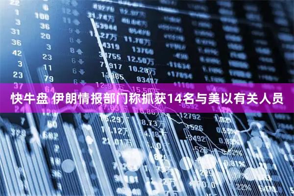 快牛盘 伊朗情报部门称抓获14名与美以有关人员
