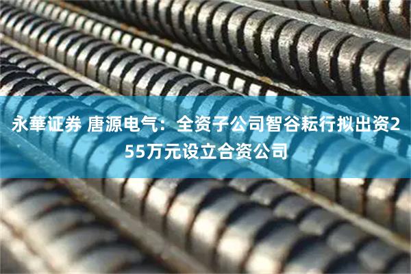 永華证券 唐源电气：全资子公司智谷耘行拟出资255万元设立合资公司