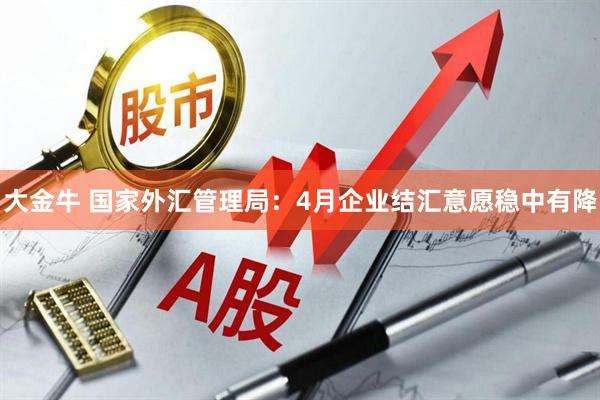 大金牛 国家外汇管理局：4月企业结汇意愿稳中有降